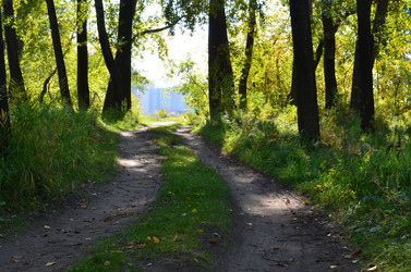 Similar image 22424581