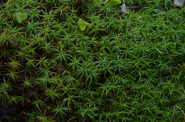 Similar image 22424582