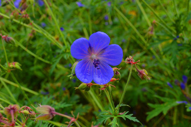 Similar image 22424587