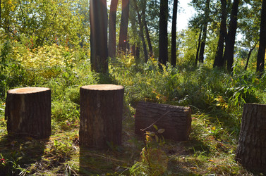 Similar image 22424588