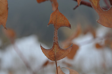 Similar image 22424593