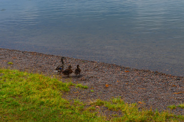 Similar image 22424596