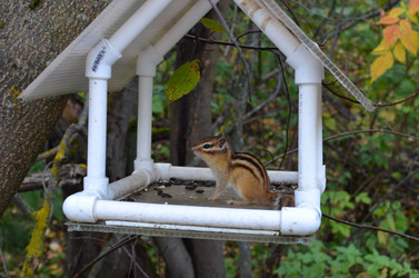 Similar image 22424599