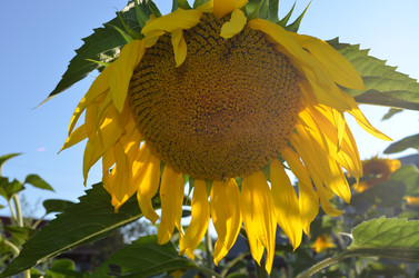 Similar image 22424600