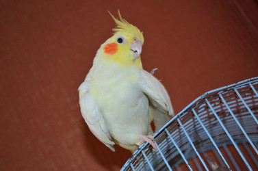 Similar image 22424601