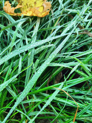 Similar image 22425585