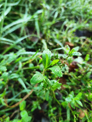 Similar image 22425586