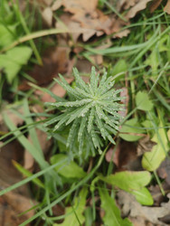 Similar image 22425587