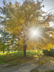 Similar image 22425588