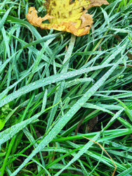 Similar image 22425589