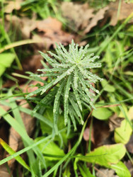 Similar image 22425590