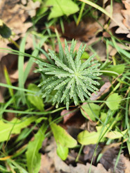 Similar image 22425591