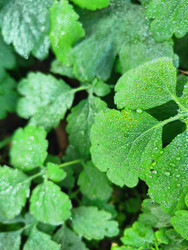 Similar image 22425592