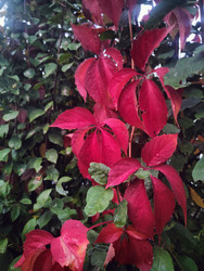 Similar image 22425593