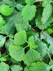 Similar image 22425594