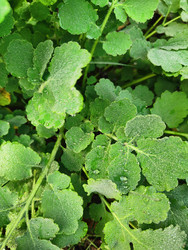 Similar image 22425595