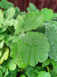 Similar image 22425600