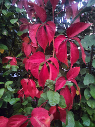 Similar image 22425601