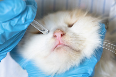 Similar image 22436281