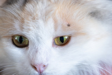 Similar image 22436282