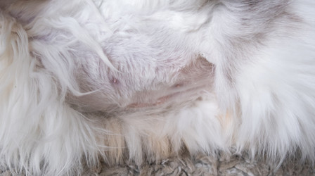 Similar image 22436286