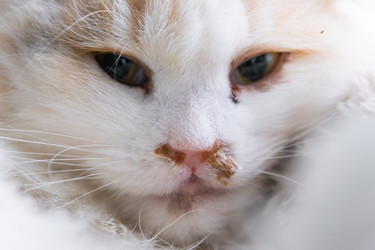 Similar image 22436289