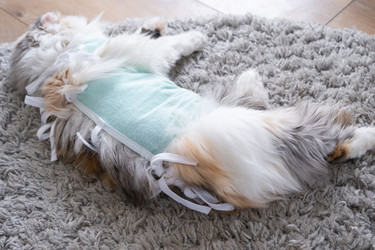 Similar image 22436290