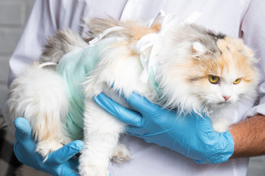 Similar image 22436292