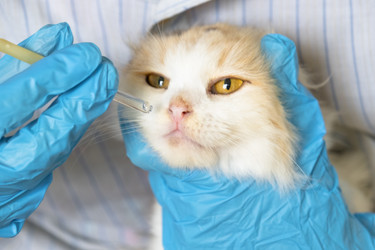 Similar image 22436293