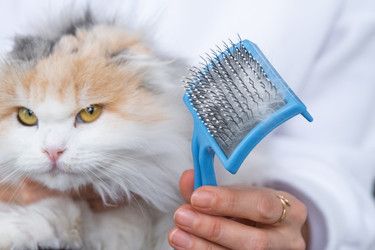 Similar image 22436295