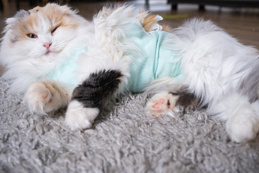 Similar image 22436301