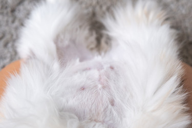 Similar image 22436302