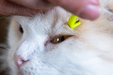 Similar image 22436309