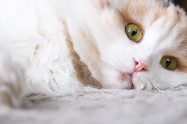 Similar image 22436312