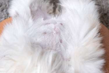 Similar image 22436313