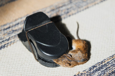 Similar image 22436316