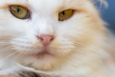 Similar image 22436317