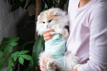 Similar image 22436322