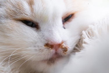 Similar image 22436323