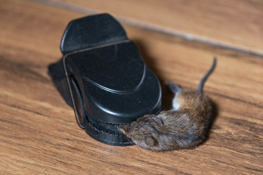 Similar image 22436324