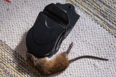 Similar image 22436329