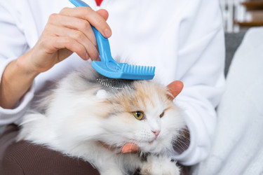 Similar image 22436335