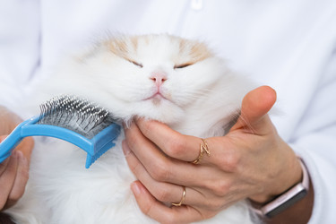 Similar image 22436338