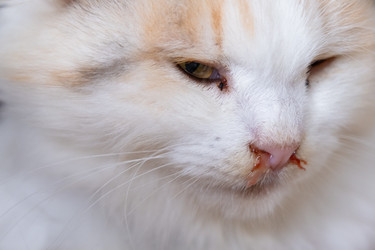 Similar image 22436340