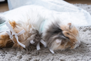 Similar image 22436342