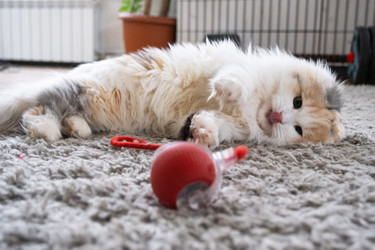 Similar image 22436345