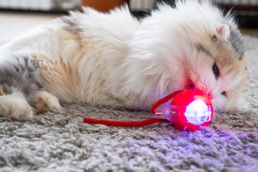 Similar image 22436346