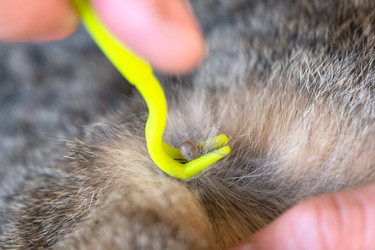 Similar image 22436350