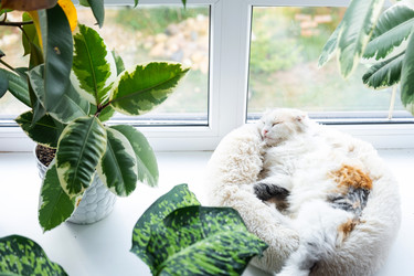 Similar image 22436353