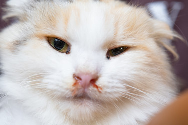 Similar image 22436354